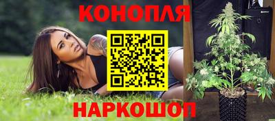 твердый Гатчина