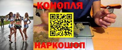 твердый Гатчина