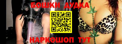 индика Гай