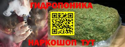 твердый Гатчина