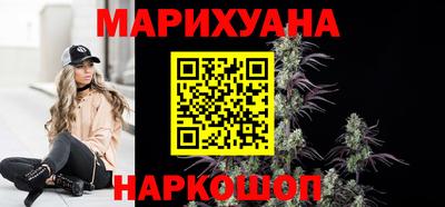 индика Гай