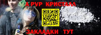 индика Гай